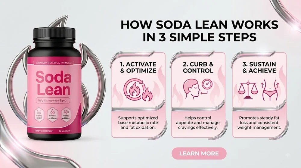 SodaLean how it works overview